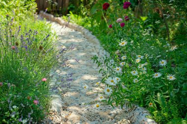 Çiçek açan bir bahçede el yapımı güzel bir taş patika. Geçit papatyalar, lavanta ve Türk karanfilleri de dahil olmak üzere kır çiçekleriyle çevrili. Doğal manzara tasarımı, rahat kırsal atmosfer, yaz günü ve DIY bahçe dekorasyonu konsepti..