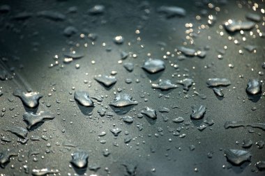 Koyu ve pürüzsüz bir yüzeyde su damlacıkları. Yakın çekim makro görüntü yansımaları ve yumuşak ışıkla yağmur damlalarının doğal oluşumunu ya da yoğunlaşmasını yakalıyor. Sakin, soyut bir arka plan tazelik, nem ve sükuneti çağrıştırıyor..