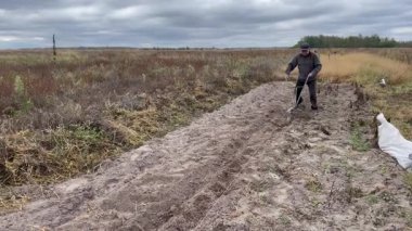 Yaşlı bir adam patates toplamadan önce kırsal bir alanda basit bir sabanla toprağı elle sürer. Otantik kırsal yaşam, ağır işçilik, hayatta kalma ve kendi kendine yetme, doğal gıda ürünü.