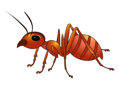 Beyaz arka planda izole edilmiş şirin karınca. Vektör illüstrasyonu 10 eps.