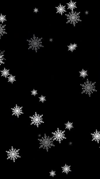 Замороженные Снежинки Фоне Дождя Прозрачном Альфа Канале — стоковое видео