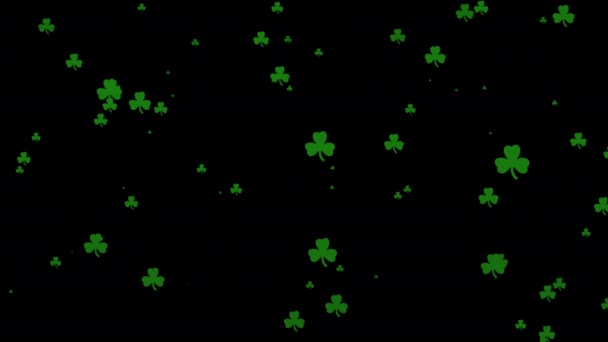 Falling Green Shamrocks Animation Saint Patrick Day Leaf Motion Animated — Stock Video