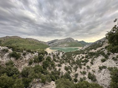 Doğanın güzel manzarası