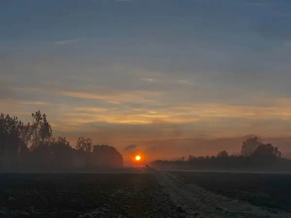 sunrise on the background of a spring field