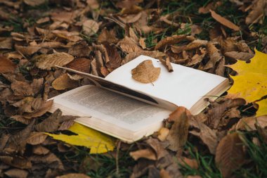 Sonbahar ormanındaki kuru yaprakların arasında açık eski bir kitap..