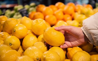 Yakın planda, marketten limon seçen bir kadın marketteki meyve ve sebze reyonundan limon topluyor. Mağazada kadın meyve alışverişi.