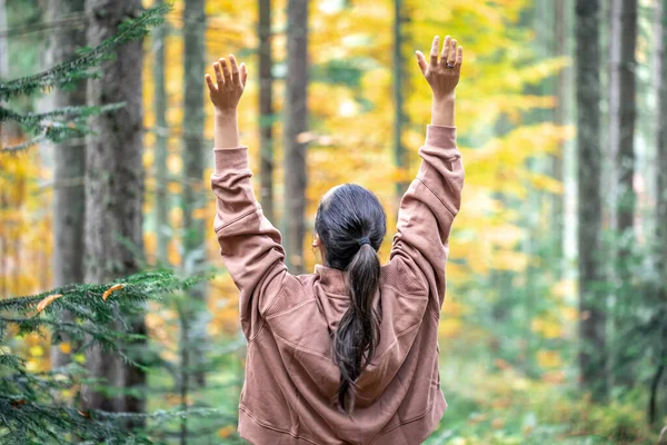 Frau Auf Verschwommenem Hintergrund Eines Bunten Herbstwaldes Blick Von Hinten — Stockfoto