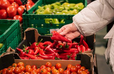 Bir kadın manavdan biber seçer, yakın plan, pişirmek için organik gıda alır..