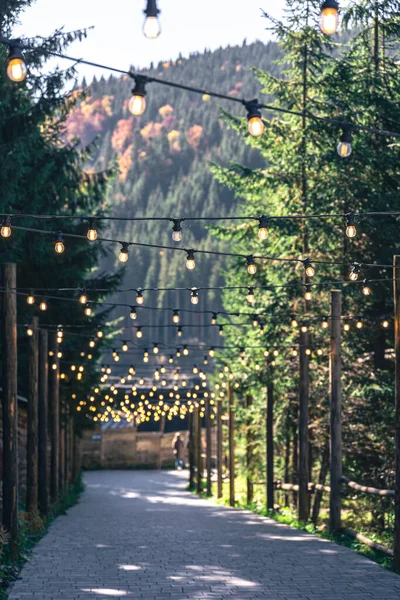 山区森林里木柱上的装饰灯泡 — 图库照片