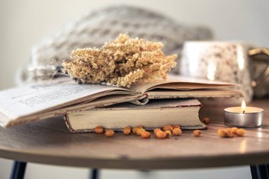 Kitaplar, bir mum ve bulanık arkaplanda örülmüş bir element ile rahat ev kompozisyonu.