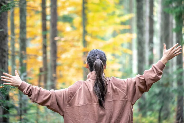 Frau Auf Verschwommenem Hintergrund Eines Bunten Herbstwaldes Blick Von Hinten — Stockfoto