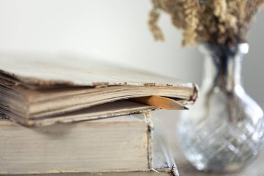 Bir yığın eski kitap ve bulanık bir arkaplanda kurumuş bir vazo çiçek..