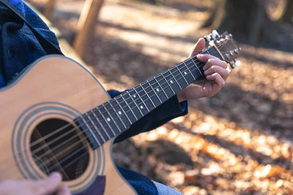 Yakın Plan Bir Adam Soğuk Mevsimde Ormanda Akustik Gitar Çalar — Stok fotoğraf