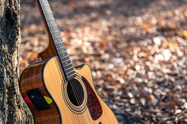 Bir sonbahar ormanının bulanık arka planında akustik gitar, boşluğu kopyala.