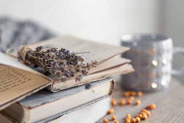 Bir yığın kitap ve bulanık arka planda kurutulmuş lavanta çiçekleriyle rahat ev kompozisyonu.