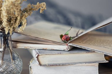 Bir yığın eski kitap ve küçük bir çiçek yakın plan, bulanık arkaplan.