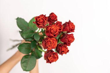 Kırmızı gül buketi kadınların elinde beyaz arka plan, üst manzara, kopyalama alanı.