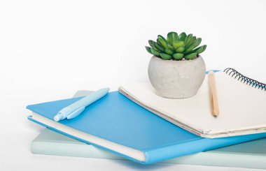 Not defterleri ve ofis bitkisi beyaz arka planda, yakın plan, kopyalama alanı.