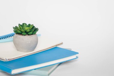 Not defterleri ve ofis bitkisi beyaz arka planda, yakın plan, kopyalama alanı.