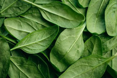 Fresh textured green baby spinach leaves, natural background.
