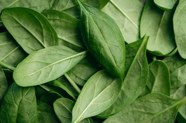 Fresh textured green baby spinach leaves, natural background.