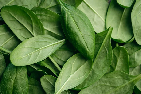 Fresh textured green baby spinach leaves, natural background.