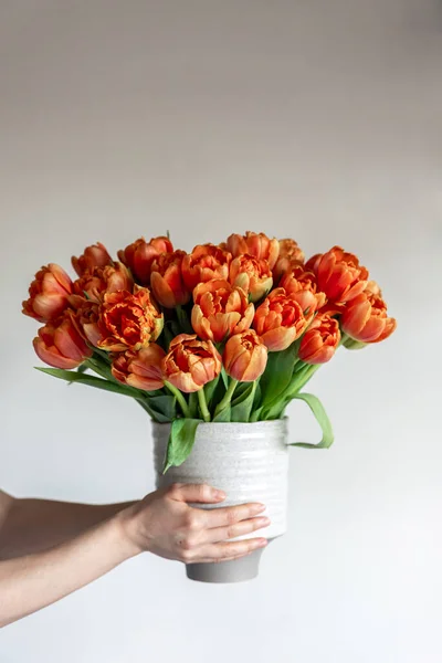 Bouquet Fresh Orange Tulips Female Hands Concept Spring Womens Day — Foto de Stock
