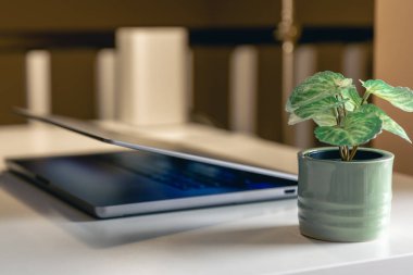 Bulanık bir arkaplanda, bilgisayarın üstünde çalışma ve çalışma kavramı.