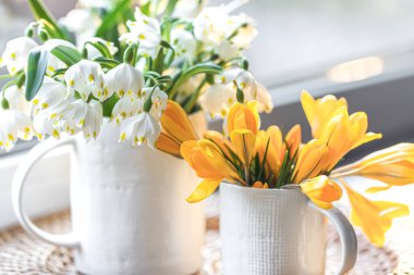 Odanın içinde kardelen ve timsah olan bahar kompozisyonu.