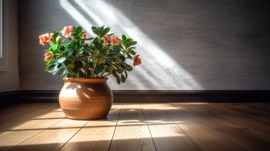 Gri bir duvara dayanmış bir saksı çiçek, minimalist bir iç mekan, boşluğu kopyala.