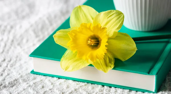 Yellow narcissus flower and a book in a white bed, close-up.