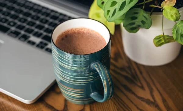 A cup of cocoa, a laptop and a flowerpot on the desktop, close-up, the concept of working remotely, morning in the office.