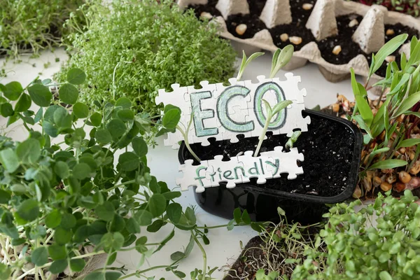 Eco Fundo Com Microgreens Quebra Cabeças Com Inscrição Eco Friendly — Fotografia de Stock