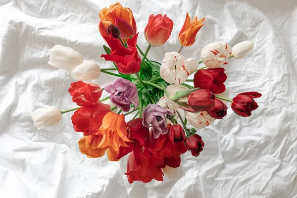 Весенний Фон Букетом Красных Тюльпанов Белой Кровати Вид Сверху — стоковое фото