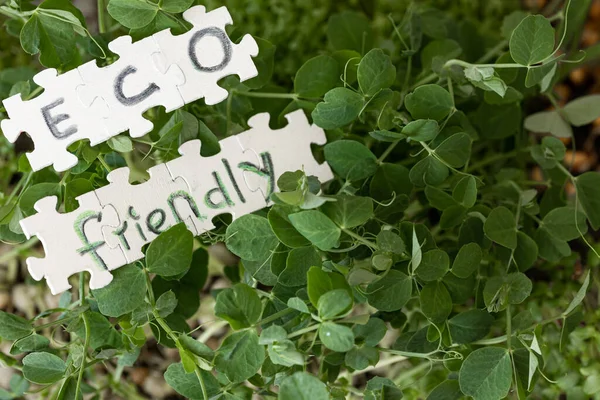 Germinação Microgreens Quebra Cabeças Com Inscrição Eco Friendly Germinação Sementes — Fotografia de Stock