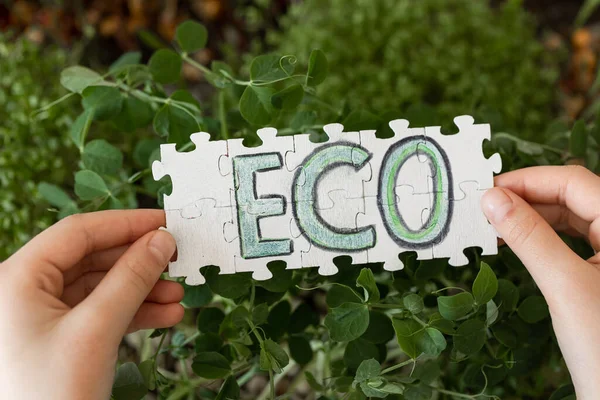 Puzzle Avec Inscription Eco Childrens Mains Sur Fond Microgreens Concept — Photo