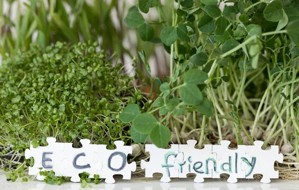 Klíčení Mikrozeleně Puzzle Nápisem Eco Friendly Klíčení Semen Doma — Stock fotografie