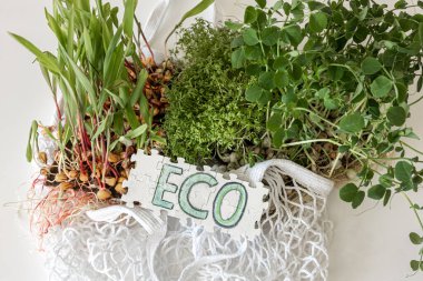 Mikro yeşil kompozisyon ve Eko yazısıyla bulmacalar. Evde tohum yetiştirme. Vegan ve sağlıklı beslenme konsepti.