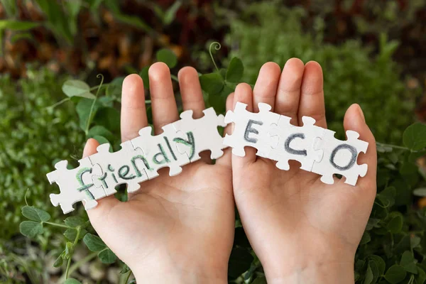Puzzles Inscription Eco Friendly Hands Child Background Microgreens Germination Seeds — Stock Photo, Image