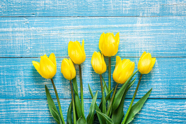 Весенний фон с желтыми тюльпанами на синем деревянном фоне, вид сверху.