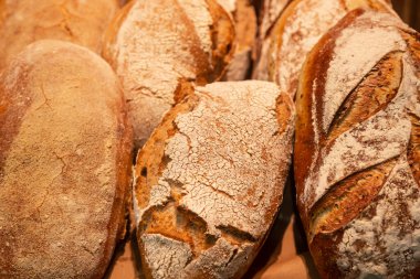 Rafta çeşitli ekmeklerle modern pastane. Gıda kavramı ve iş.