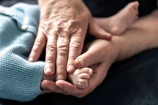 stock image Feet of a newborn baby in the wrinkled old hands of a grandmother, close-up.
