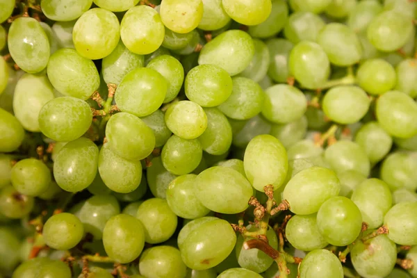 stock image Bunch of green fresh ripe juicy grapes as background, close up, Green Grapes on Shelf in Fresh Fruit market.