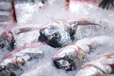 Markette dondurulmuş balıklı gösteri. Pazar yeri, deniz ürünleri sergisi. Perakende satış, pazar yeri.