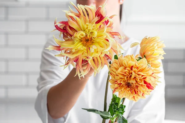 A woman holding a bouquet of yellow and orange dahlias on a white background, the concept of flower workshops and articles for the study of floristry.