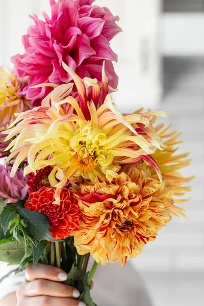 A woman holding a bouquet of yellow and orange dahlias on a white background, the concept of flower workshops and articles for the study of floristry.