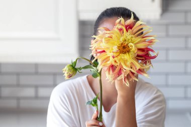 Bir kadın elinde parlak bir geogren çiçeği tutuyor. Mutfağın arka planında bulanık bir ışık. Kopya alanı..