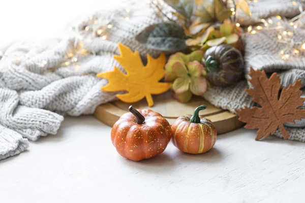 Cozy autumn composition with pumpkins, leaves and knitted element.