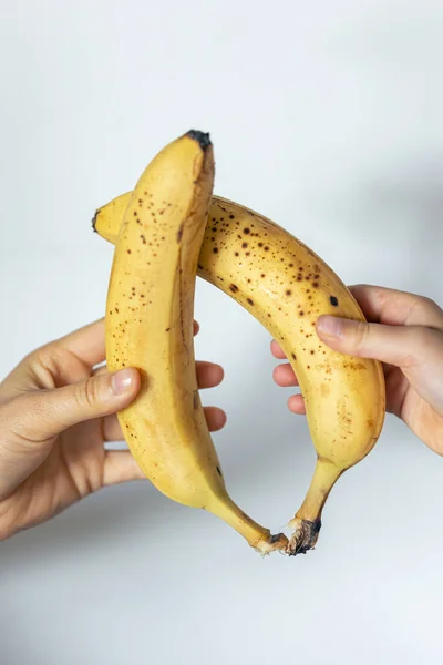 Two ripe yellow bananas in female hands on a white blurred background.