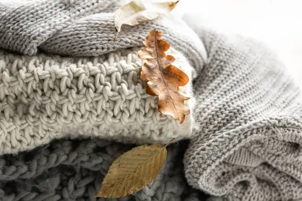 Autumn composition with cozy knitted sweaters in pastel shades and dry leaves.